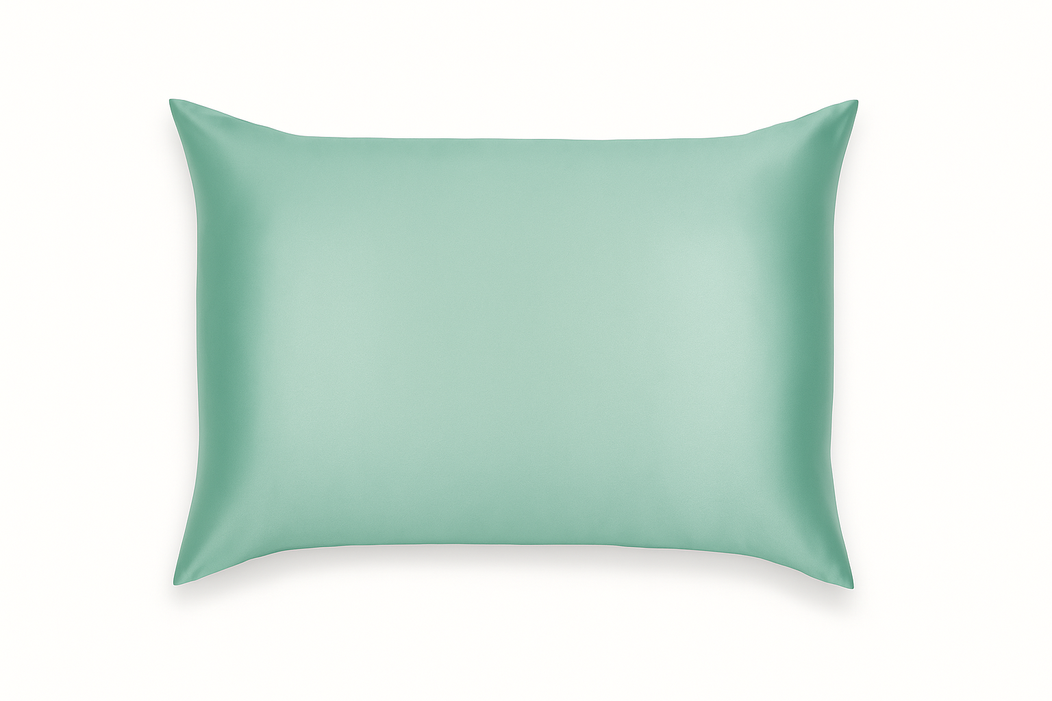 Mulberry Silk Pillow Case