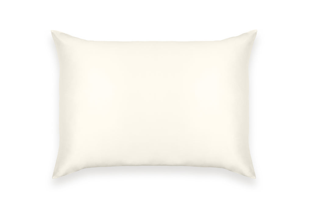Pure Mulberry Silk Pillow Case