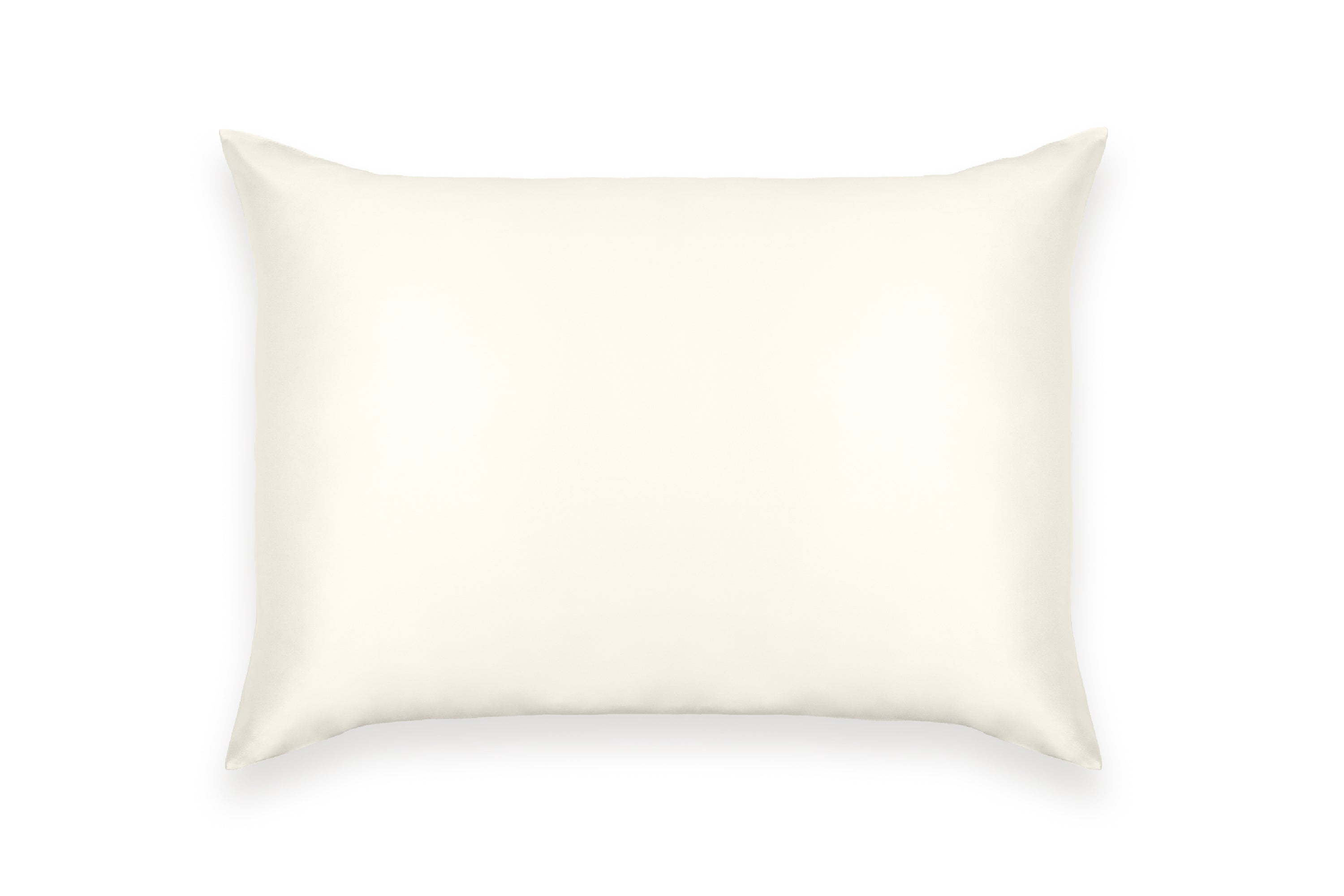Pure Mulberry Silk Pillow Case