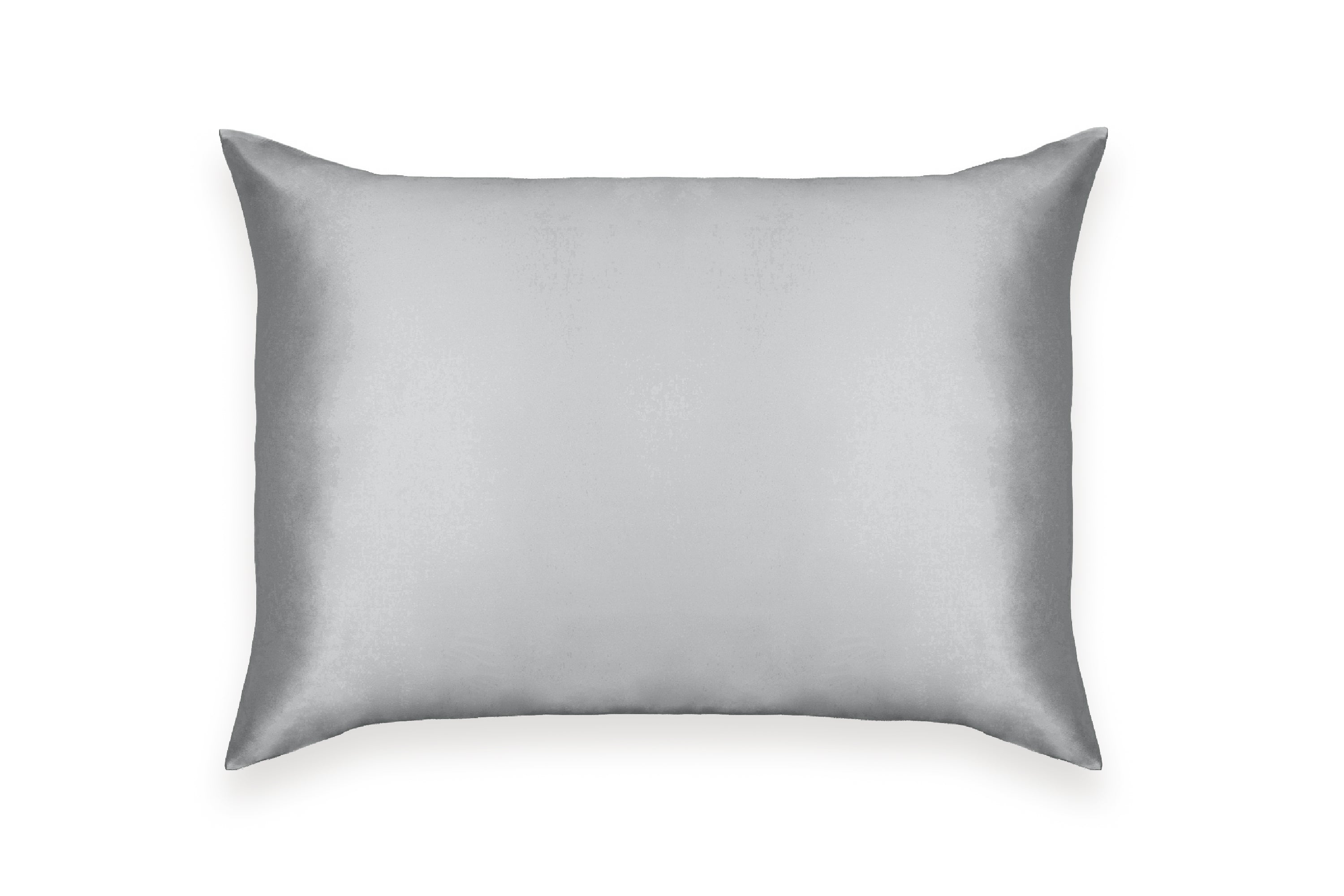 Pure Mulberry Silk Pillow Case
