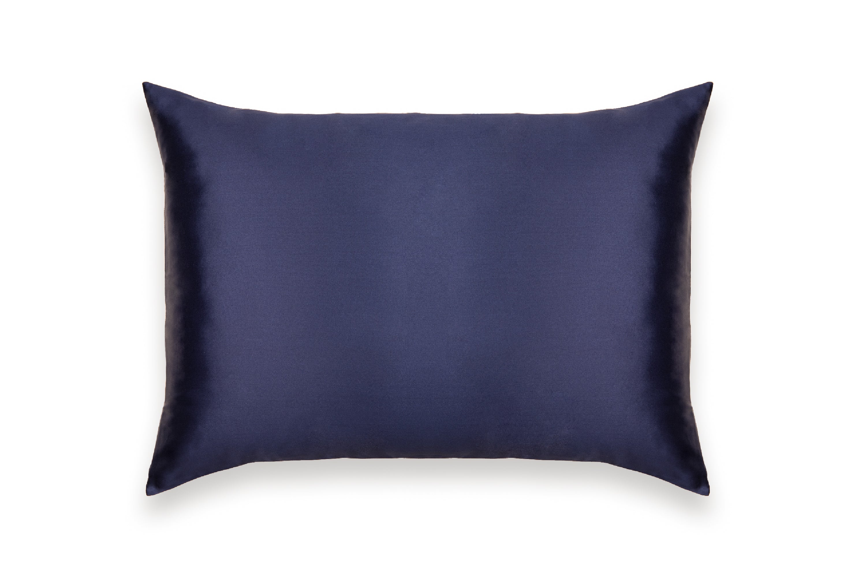Pure Mulberry Silk Pillow Case