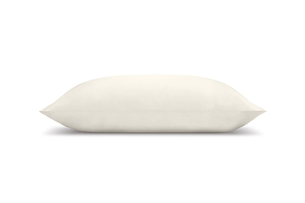 Pure Mulberry Silk Pillow Case