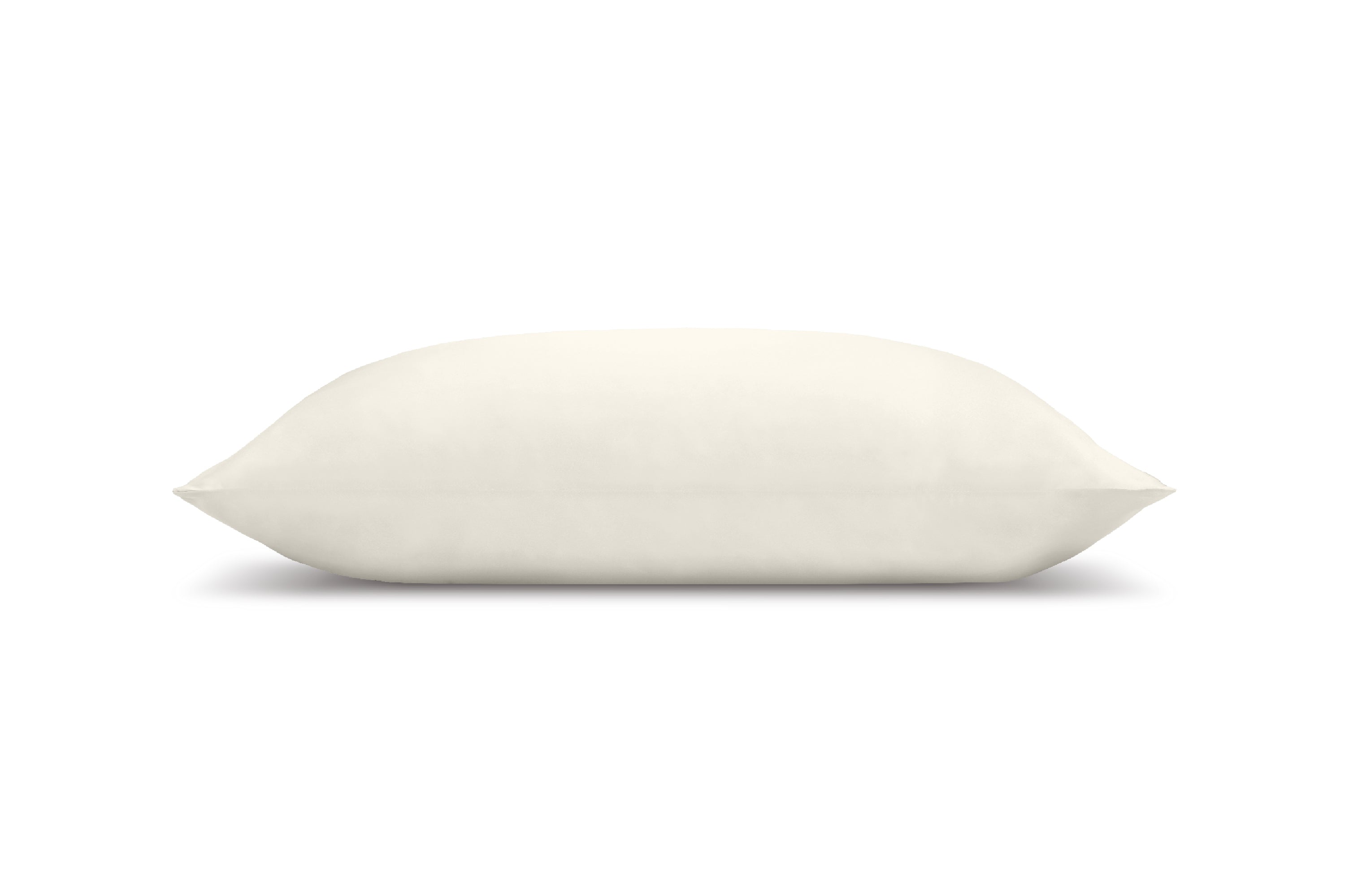 Pure Mulberry Silk Pillow Case