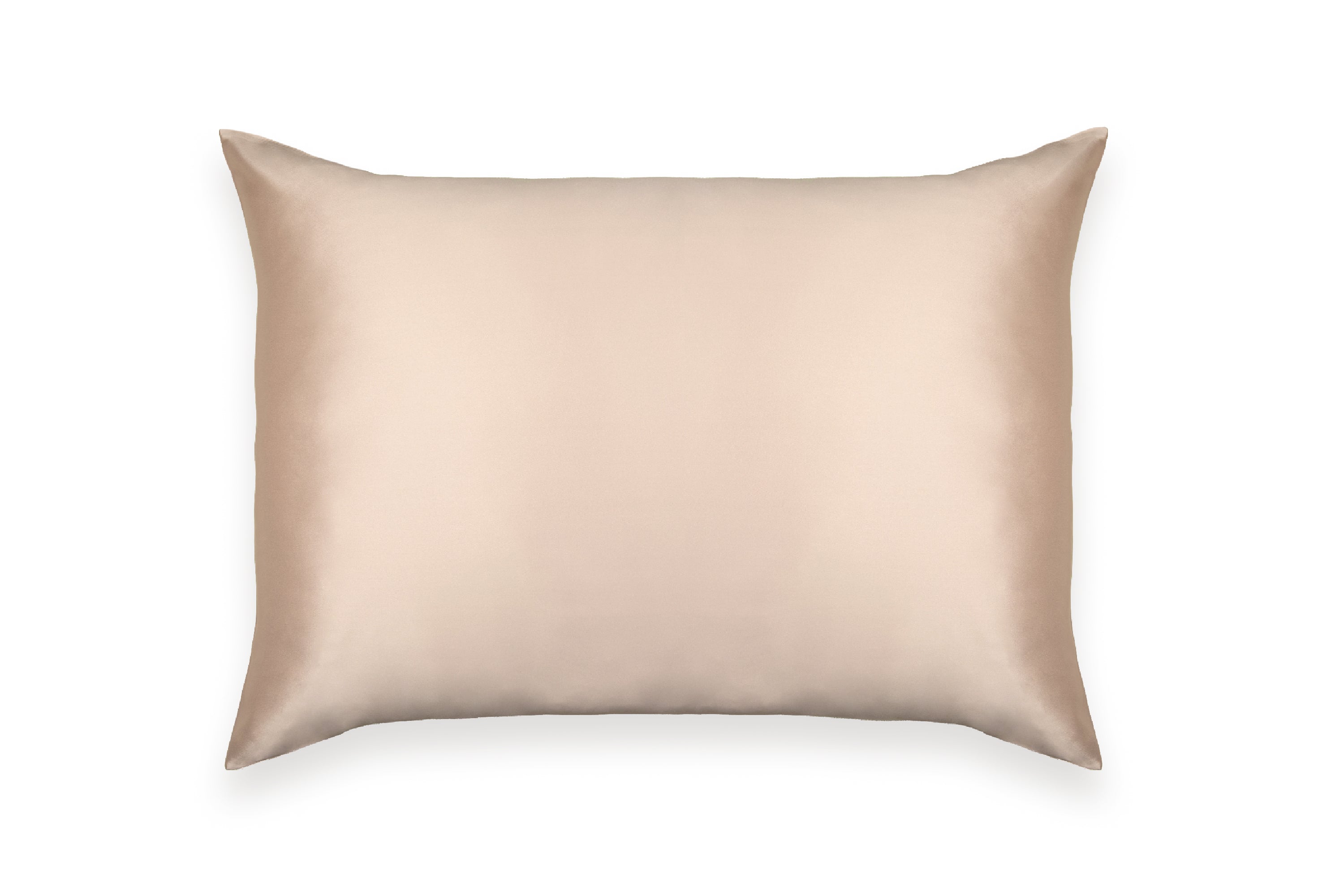 Pure Mulberry Silk Pillow Case