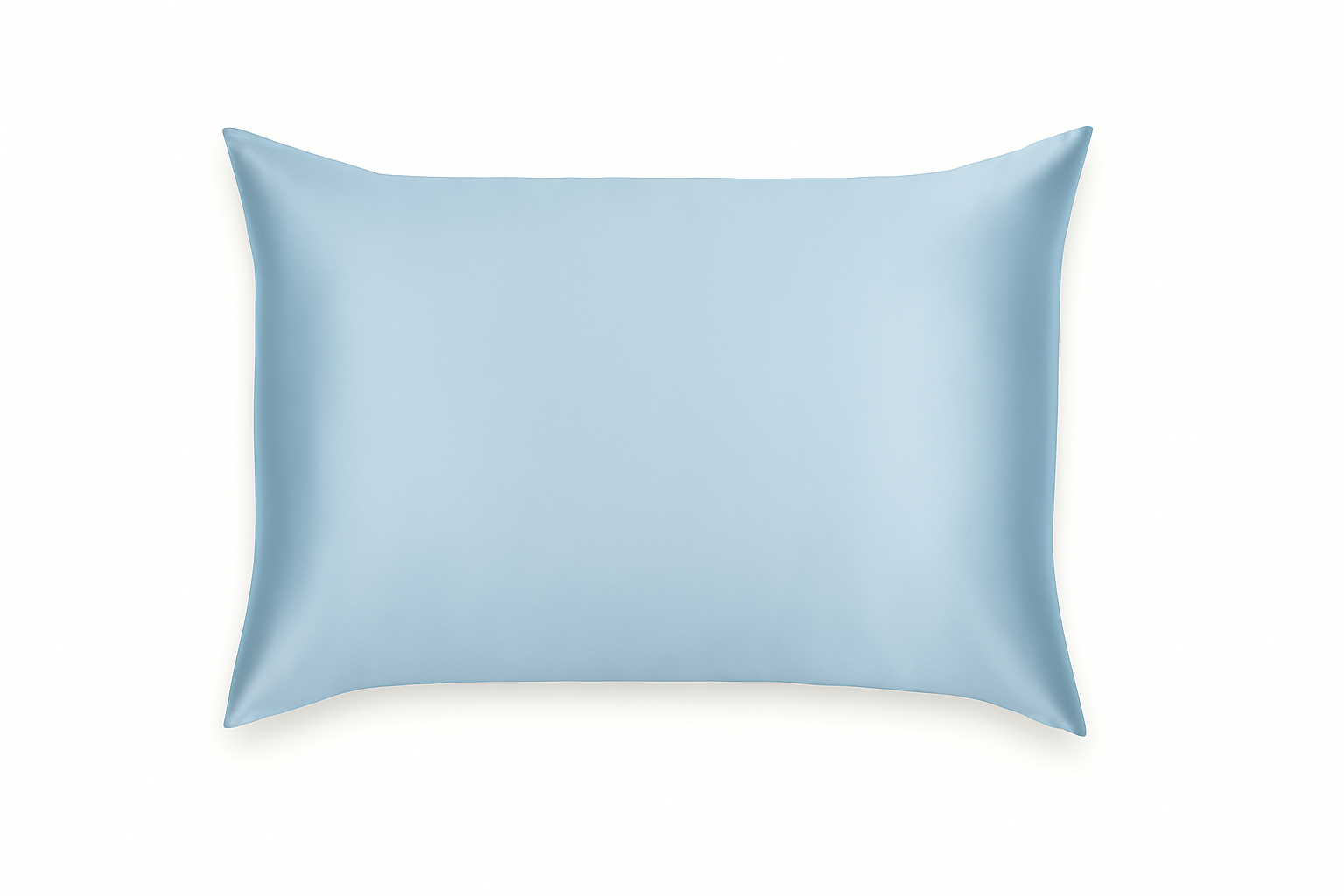 Pure Mulberry Silk Pillow Case