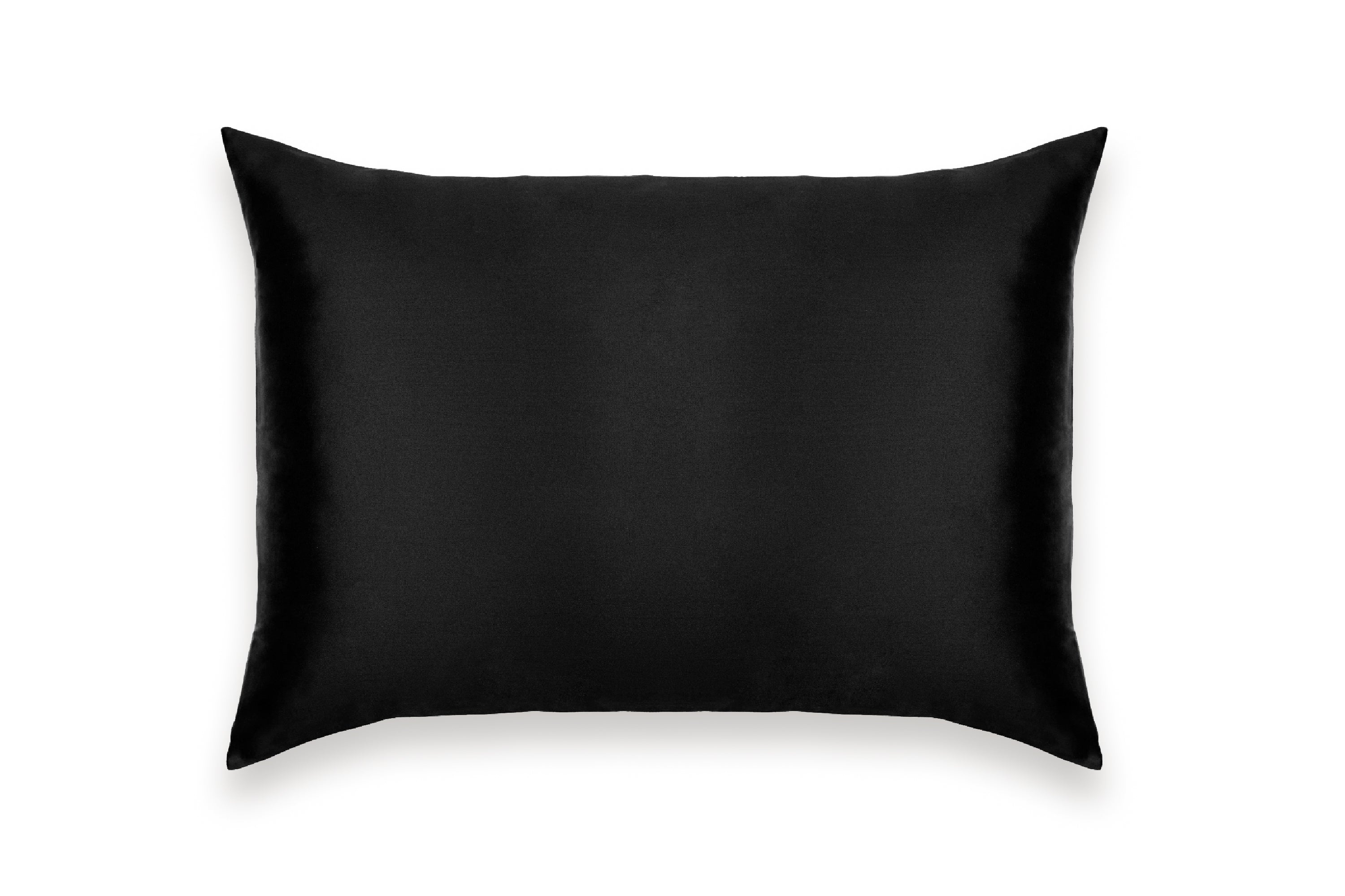 Pure Mulberry Silk Pillow Case