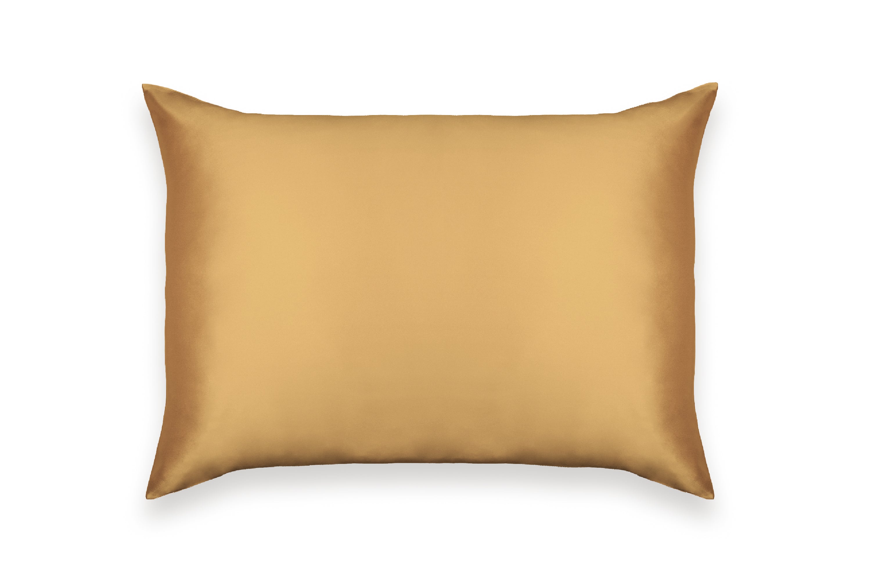 Pure Mulberry Silk Pillow Case