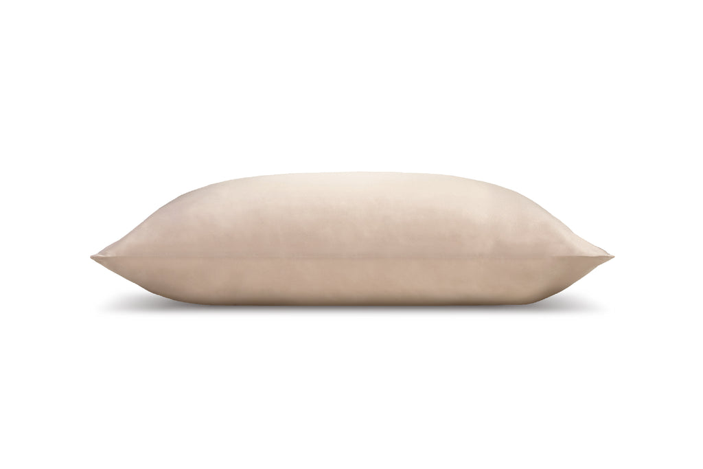 Pure Mulberry Silk Pillow Case