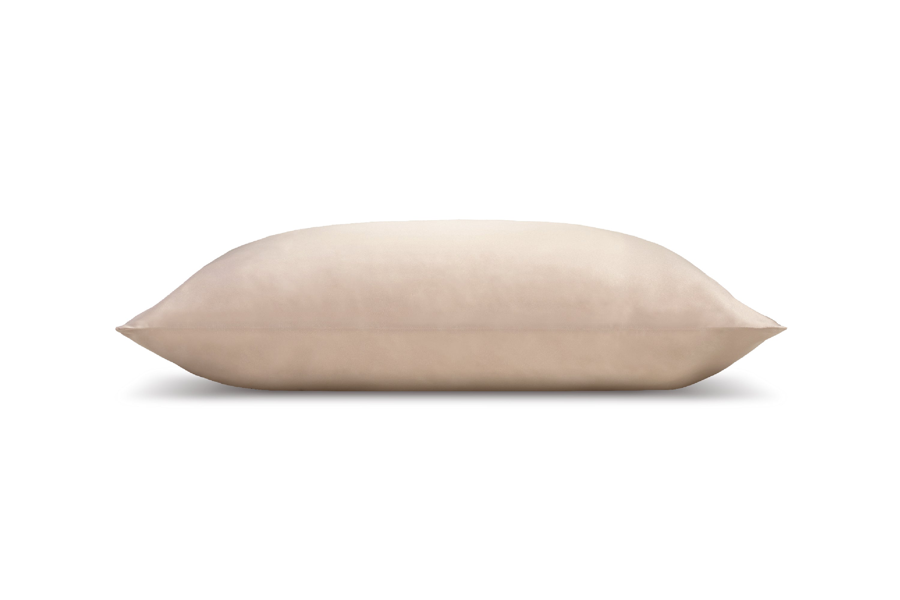 Pure Mulberry Silk Pillow Case