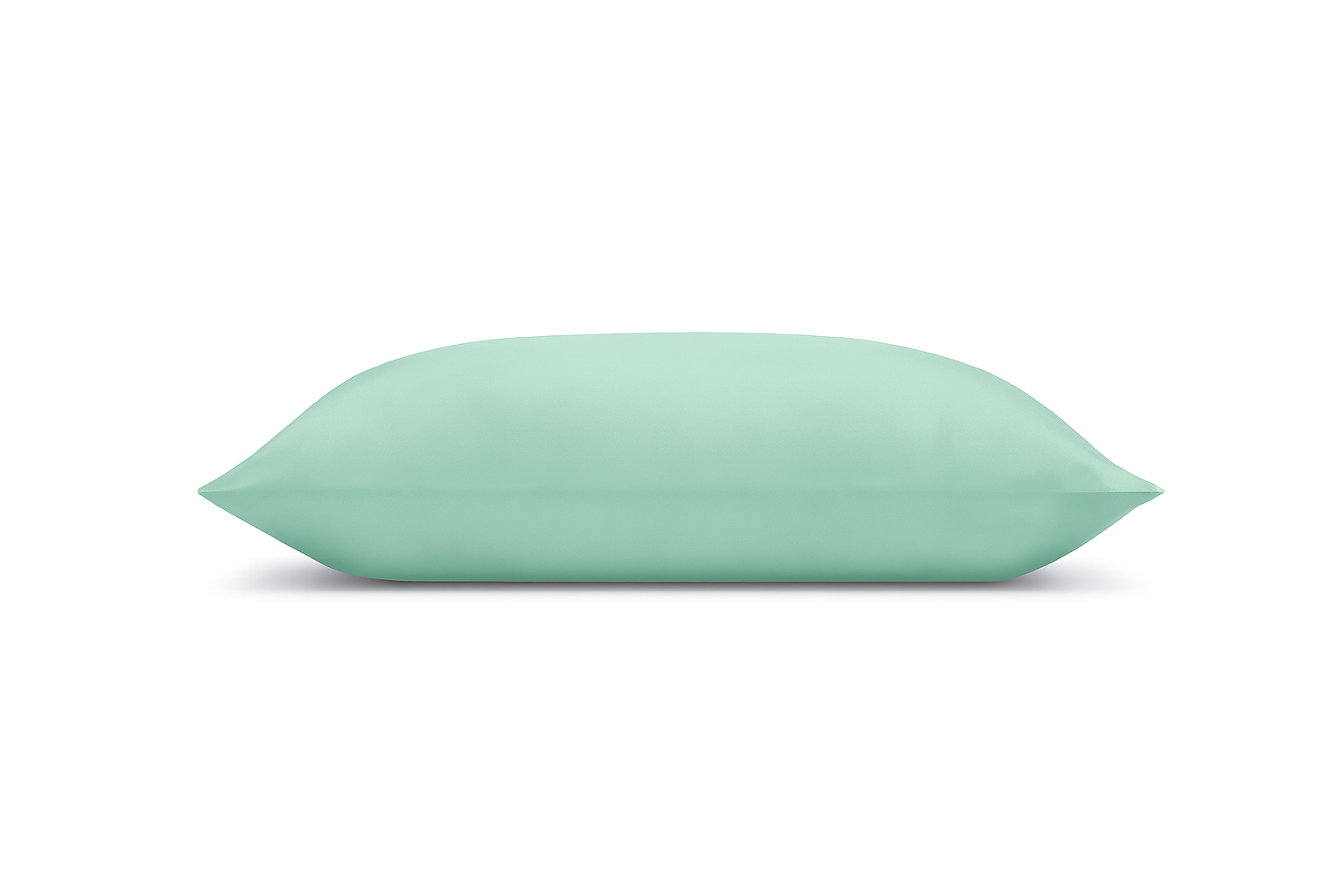 Mulberry Silk Pillow Case